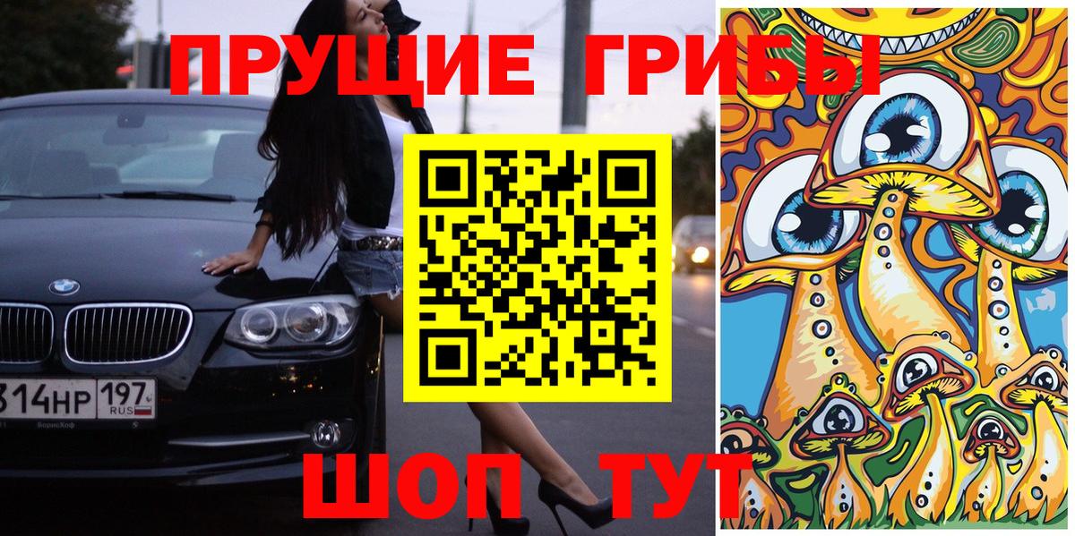 Киселёвск  Галлюциногенные грибы Psilocybine cubensis  Вход с VPN  Галлюциногенные грибы Cubensis 
