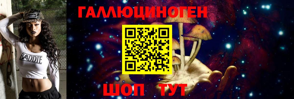 Галлюциногенные грибы Psilocybe Киселёвск